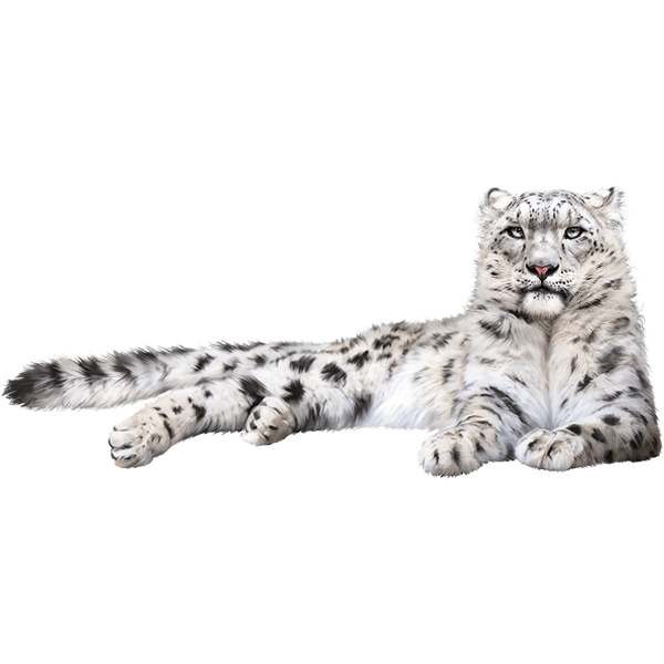 The Leopard Expedition